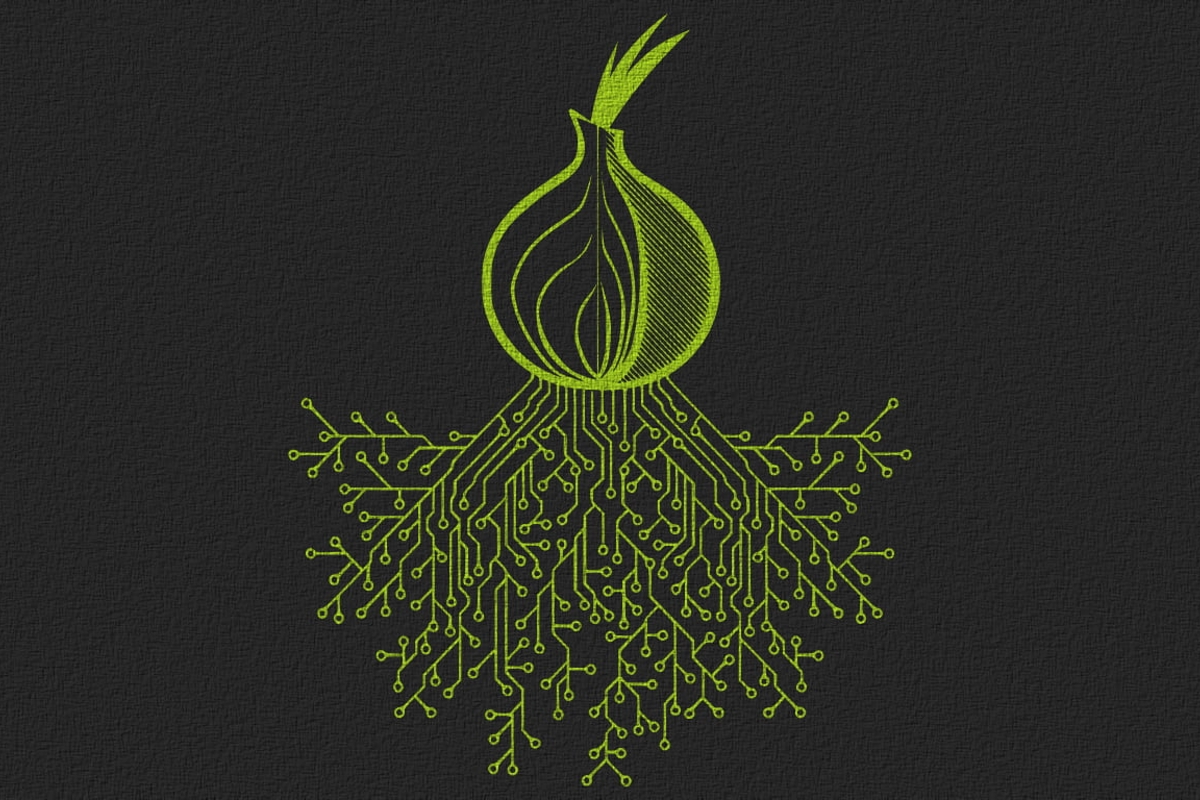 Guía básica de Tor para OSINT y privacidad
